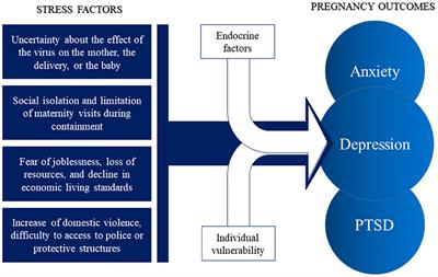 Becoming a Mother During COVID-19 Pandemic: How to Protect Maternal Mental Health Against Stress Factors